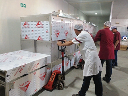 中國制造：讓挑剔的中東客戶交口稱贊！