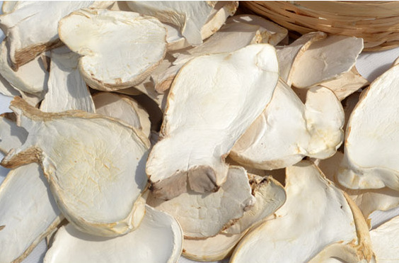 杏鮑菇烘干工藝