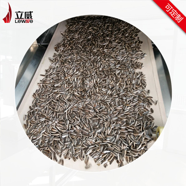 瓜子微波熟化設(shè)備