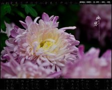 立威的設(shè)備與重陽節(jié)那些事……