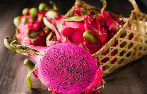 火龍果空氣能烘干設(shè)備