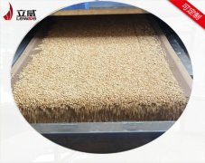 代餐粉營養(yǎng)粉微波烘干殺菌機