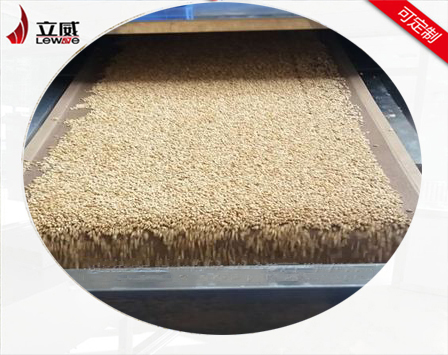 立威粉狀物料微波烘干